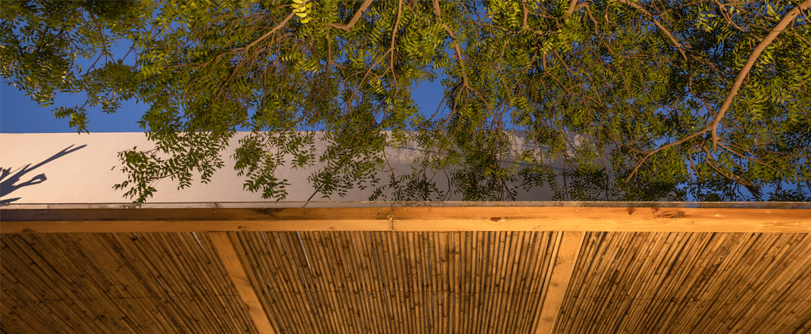 UNDER THE NEEM — image 17